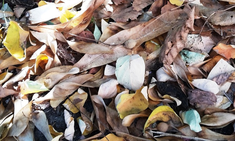 Versbarátok klubja - október versekben