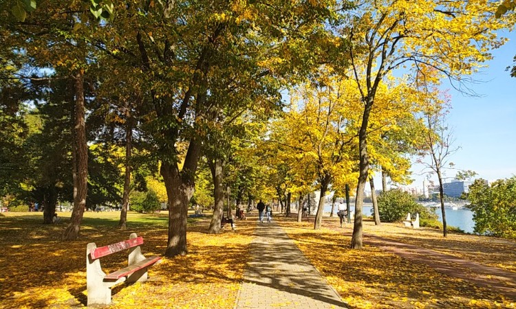 Fotós séta őszies hangulatban - Wekerlei világjárók :: 2025.10.10-31.