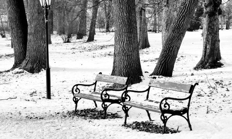 Téli fotós séta Wekerlei világjárók :: 2026.01.12-31.