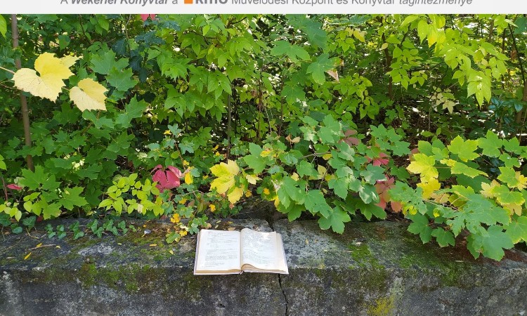 A költészet világnapja versekben :: 2024. 03. 18-24.