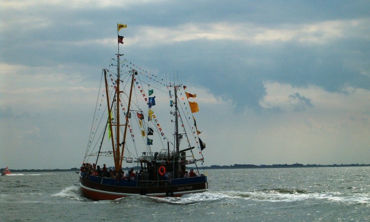 A nyár szépségei képeken - Wekerlei világjárók 2024.07.19-31.