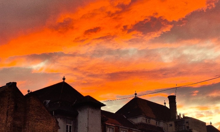 Fotós séta őszies hangulatban - Wekerlei világjárók :: 2025.10.10-31.