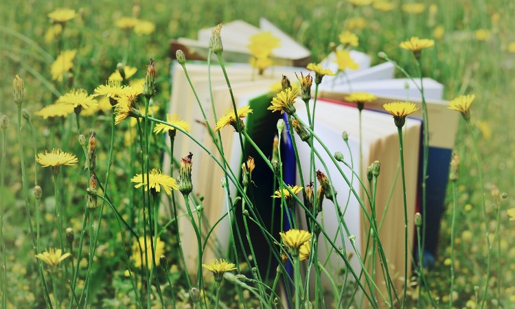 „Regényes” heti könyvajánló - Olvasóink ajánlották