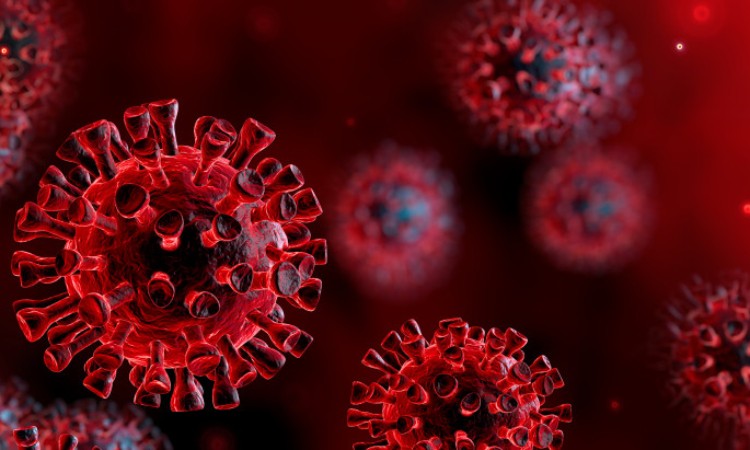 A Wekerlei Könyvtár márciusi rendezvényei elmaradnak!