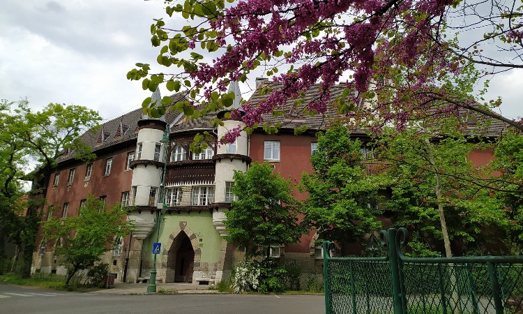 Szikrázó napsütés, árnyas fák, hívogató Kós Károly tér Wekerlén -  Nyári Wekerle fotókon egy héten át