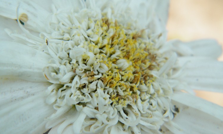 2019. évi október havi programok