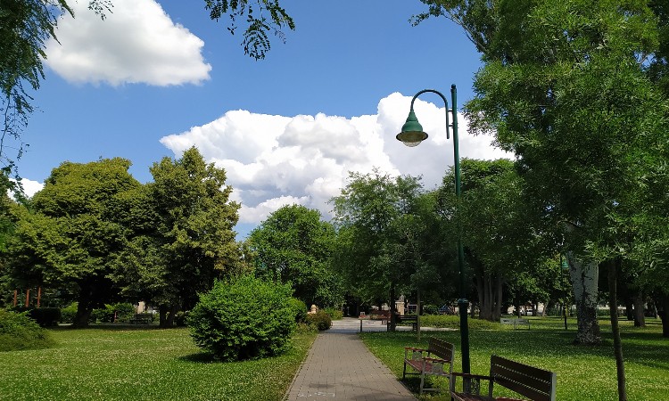 Nyári Wekerle fotókon egy héten át