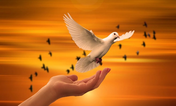 Olvass online! - ENSZ békefenntartók nemzetközi napja - Magyar békefenntartók napja