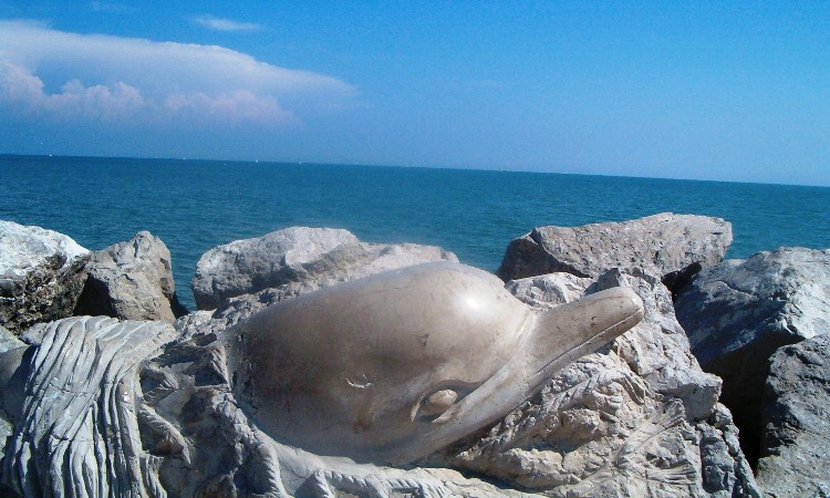 2019. évi június havi programok