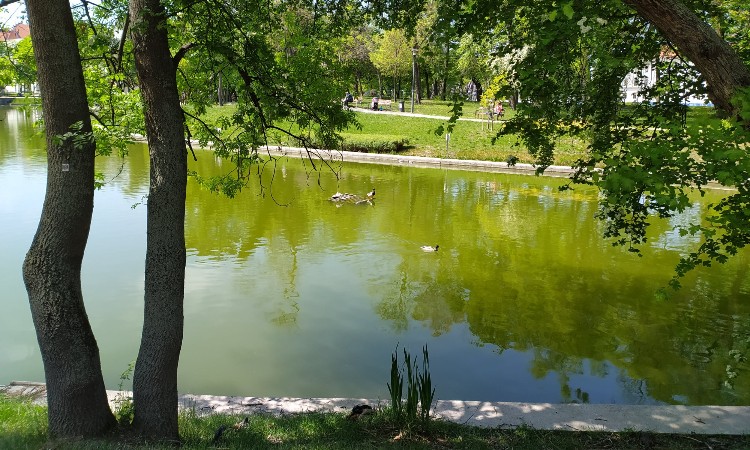 Tavaszi fák, virágok, madarak képeken - Wekerlei világjárók