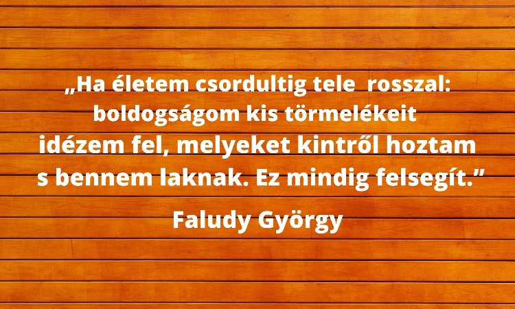 Faludy György születésnapjára