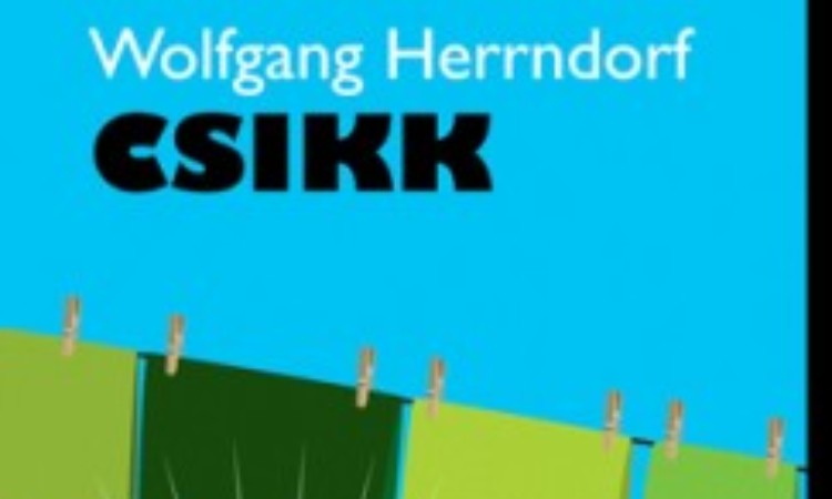 Wolfgang Herrndorf: Csikk