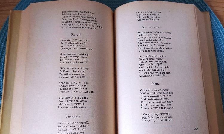 Versfal a Wekerlei Könyvtárban