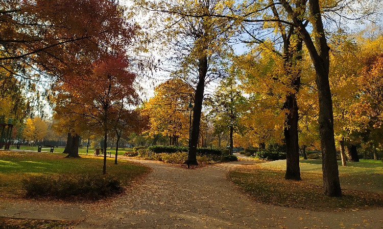Őszköszöntő versek hete :: 2025.09.01-07.