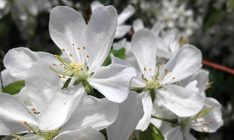 2022. évi március havi programok a Wekerlei Könyvtárban