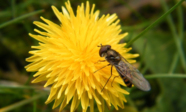 2020. évi március havi programok a Wekerlei Könyvtárban