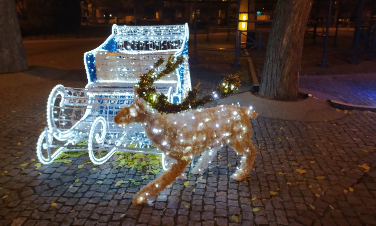 Karácsony képeken - Wekerlei világjárók :: 2023. 12. 15-26.