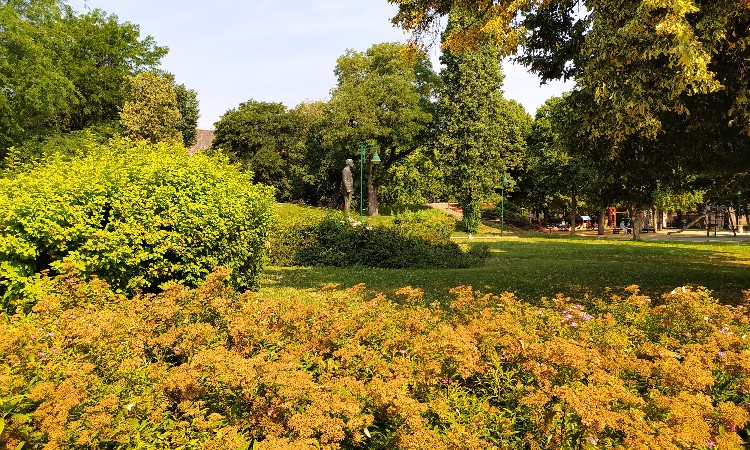 Hűsítő nyári versek hete :: 2025.07.07-13.