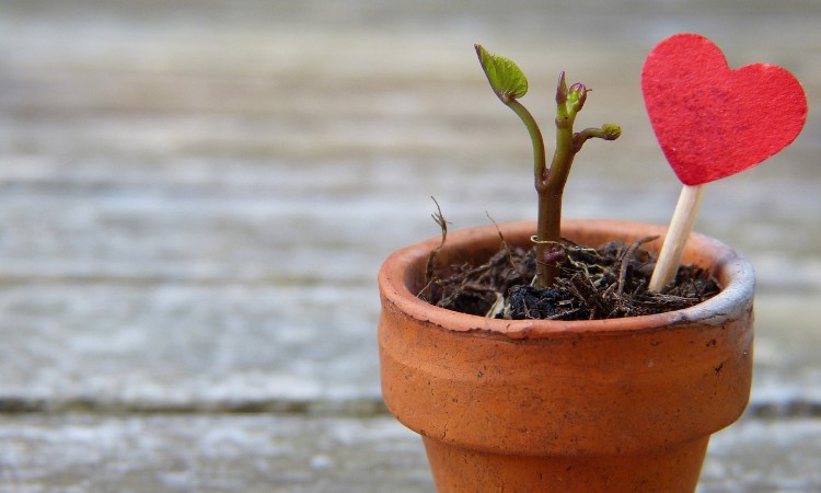 Irodalmi léleksimogató - egy szép és aktuális vers mára