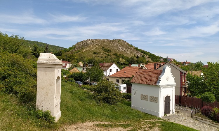 A nyár szépségei képeken - Wekerlei világjárók :: 2024.07.19-31.