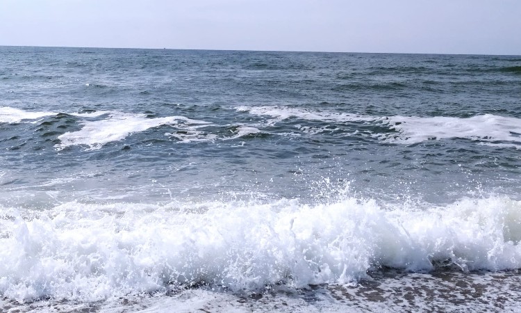 A nyár szépségei képeken - Wekerlei világjárók :: 2026.07.13-31.