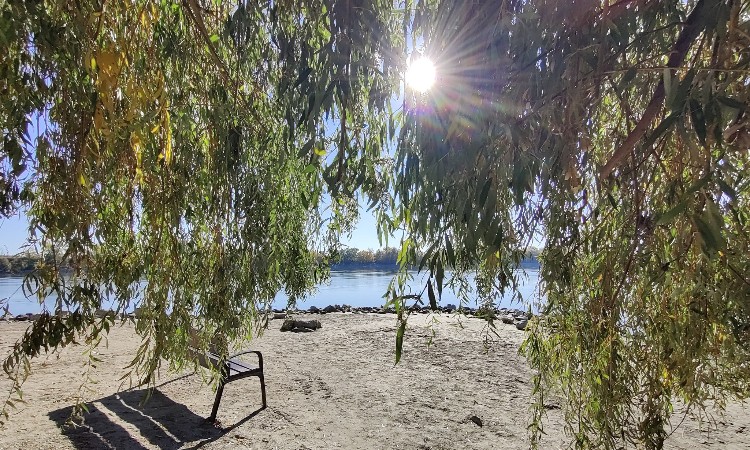 Színpompás fotós ősz … Wekerlei világjárók :: 2025.11.14-30.