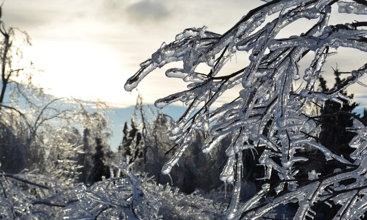 Versek gyerekeknek és felnőtteknek :: 2026.01.05-11.