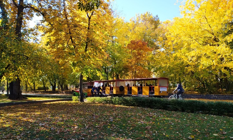 Színpompás fotós ősz - Wekerlei világjárók :: 2025.11.14-30.