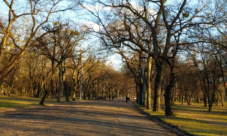 A madarak és fák napja