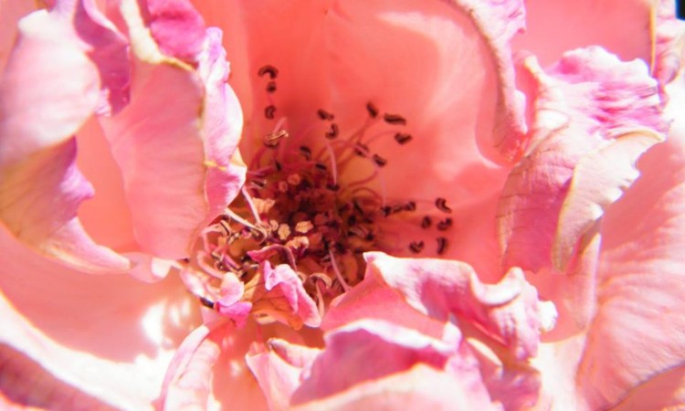 2019. évi május havi programok