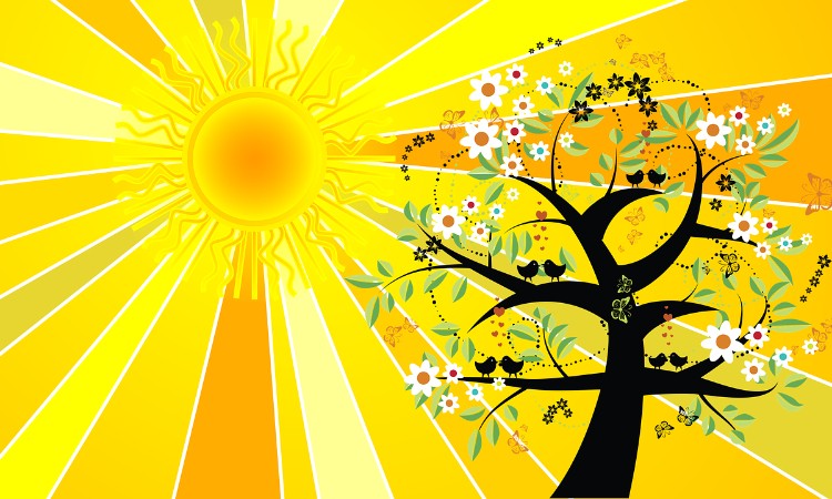 Aktuális kulturális - Ma van az év legrövidebb éjszakája