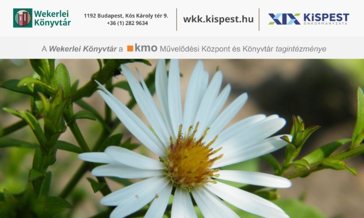 Apák napjára szeretettel