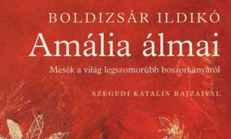 Boldizsár Ildikó: Amália álmai - Mesék a világ legszomorúbb boszorkányáról