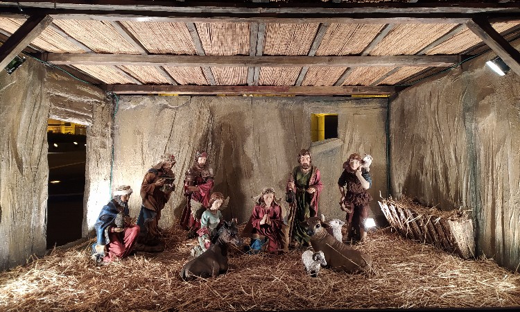 Budapesti karácsonyi fotók - Wekerlei világjárók