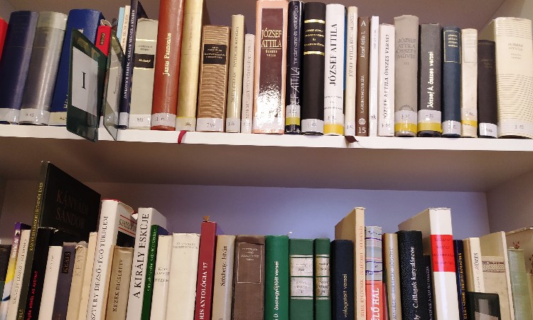 Versbarátok klubja - Az anyanyelv nemzetközi napja