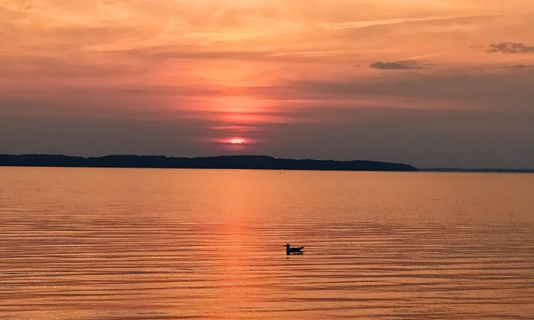 Nyári „vizes” fotók - Dánia, Watt-tenger, Esbjerg, Horns-zátony  :: 2025.08.08-31.