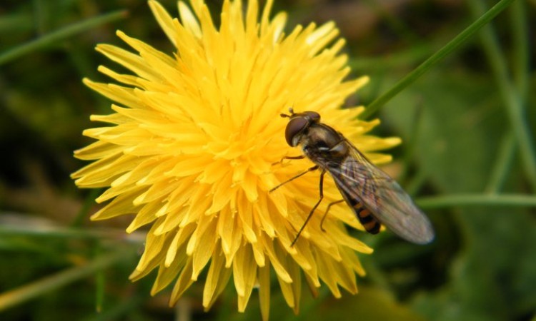 A Wekerlei Könyvtár 2021. évi március havi online programjai