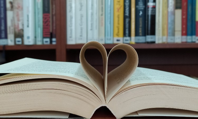 Ünnepi Könyvheti könyvsoroló