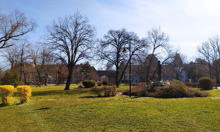 Tavaszváró fotós séta - Wekerlei világjárók :: 2024. 02. 16-29.