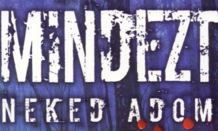 Dolores Redondo: Mindezt neked adom