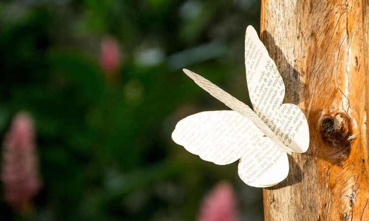 Vidám versek hete :: 2025.08.04-10.