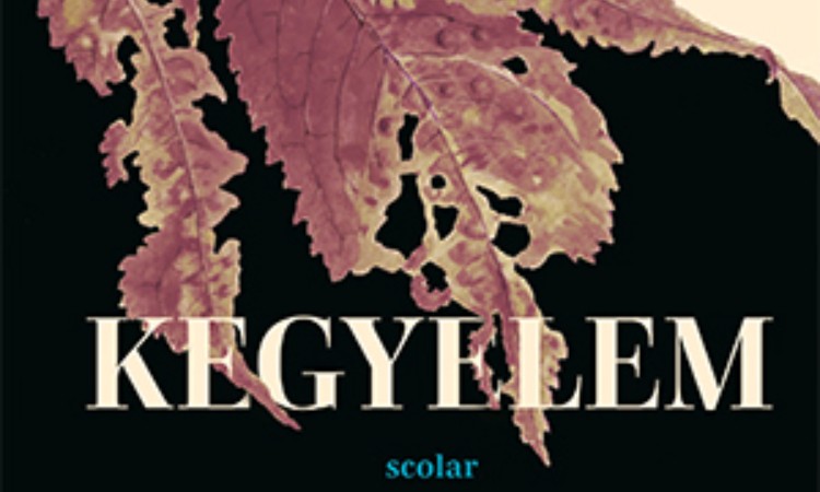 Linn Ullmann: Kegyelem