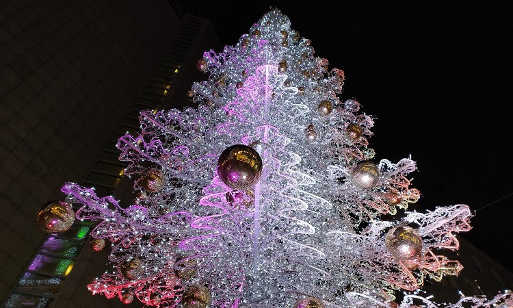 Budapesti karácsonyi fotók - Wekerlei világjárók :: 2025.12.19-31.