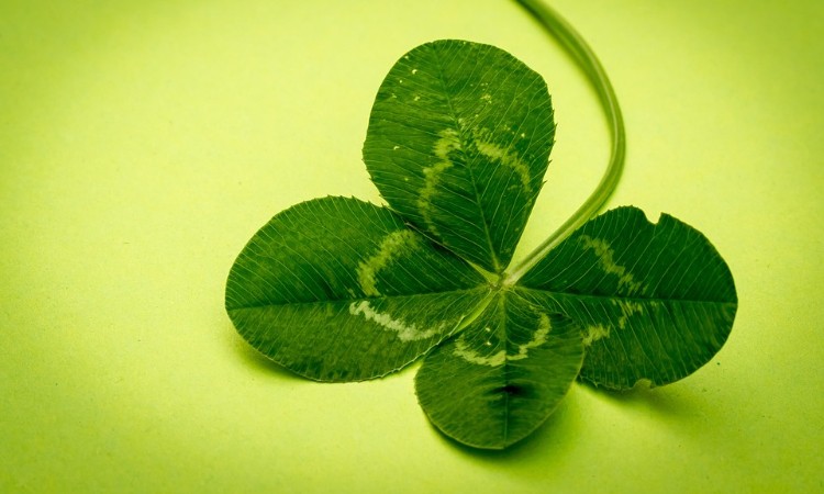 2021. évi január havi programok a Wekerlei Könyvtárban