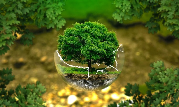 Online programok a Föld napja jegyében