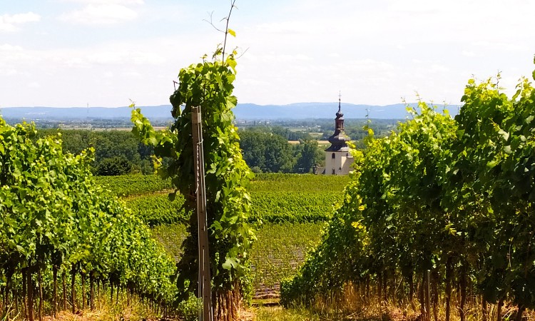 Szeptemberi online versek hete