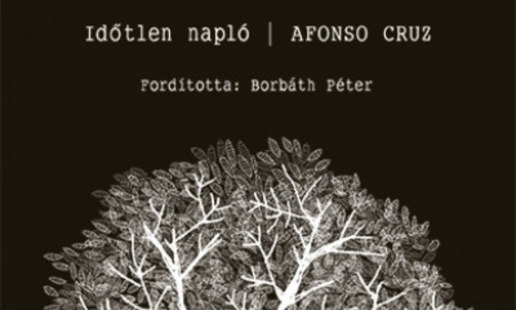 Afonso Cruz: Időtlen napló