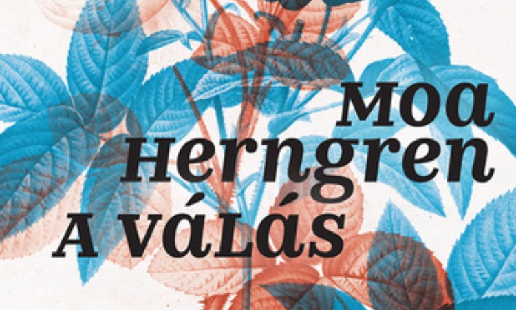 Moa Herngren: A válás