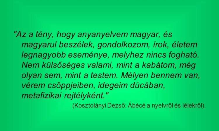 Anyanyelv nemzetközi napja - rendhagyó irodalmi órák kispesti iskolásoknak