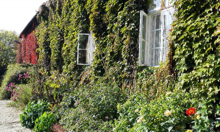 „Nyári fedezd fel!” - Budai Arborétum, a nagyvárosi zöld csoda